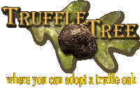 Truffle Tree Where you can adopt a Truffle Oak